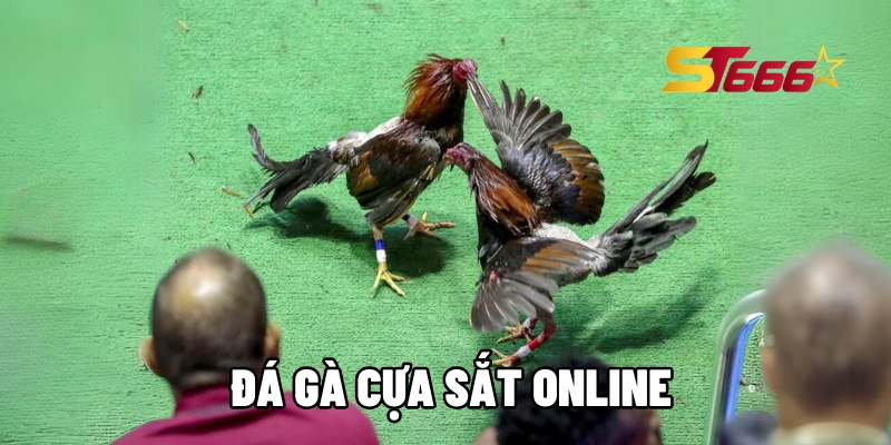 da ga cua sat online 1 1