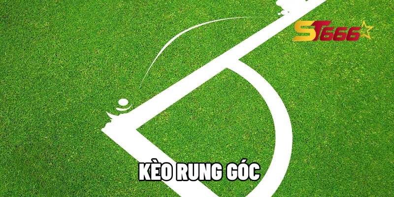 keo rung goc 1